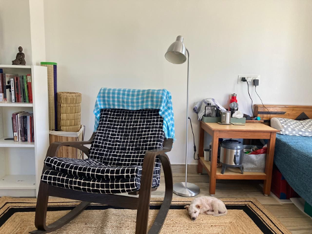 Zendo Chronicles: The ENSO of life!