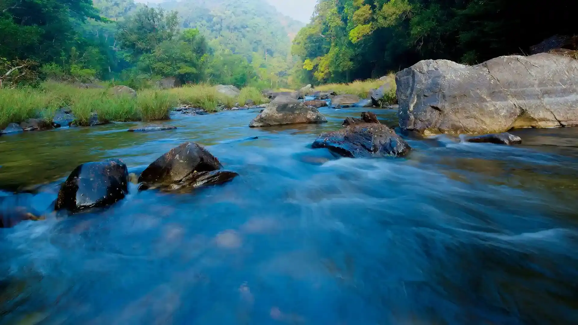 The River Has No Steps in the Pathless Land: Why Life Refuses Simple Formulas