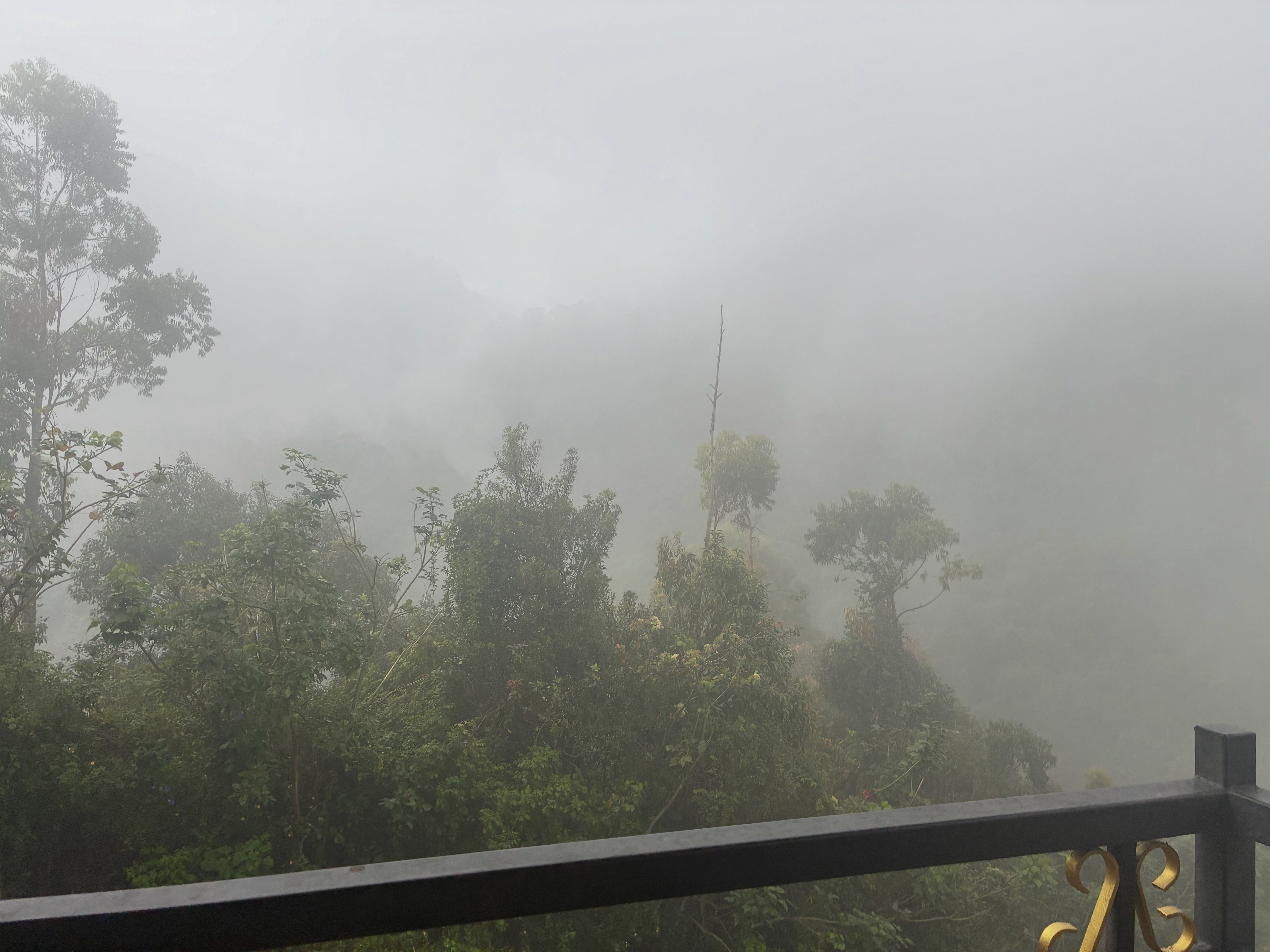 The Mist, The Lens, and AI: A Zen Guide to Clarity, Discernment, and Insight…