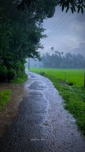 On Marshmallows, Attention, and the Long Walk to Mannarkkad in the Rain…