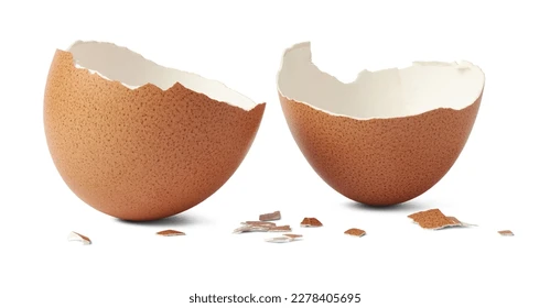 Dharma journey of the ordinary:  Passage 4… Eggxactly! A mindful challenge?